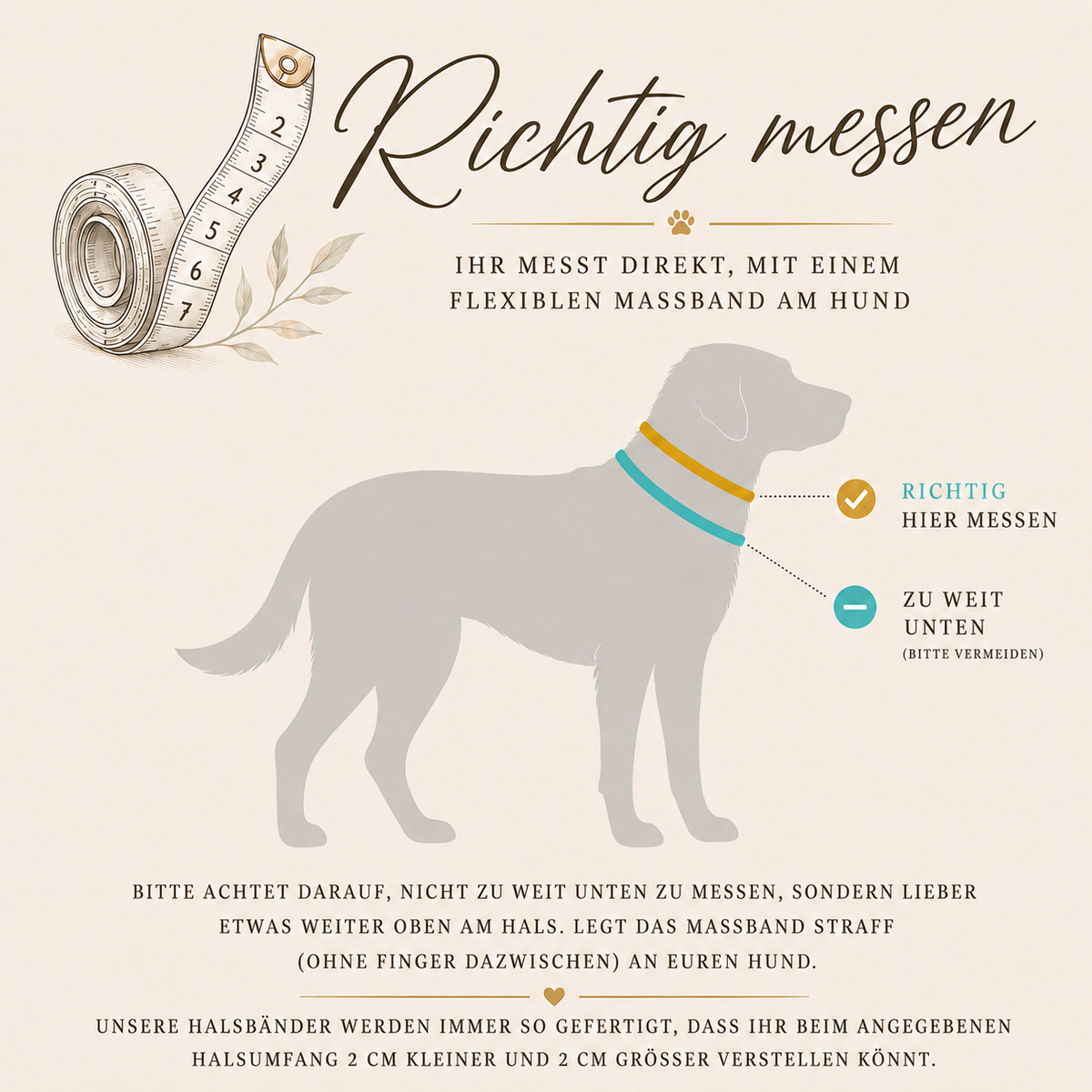 Hundehalsband Halsumfang richtig messen