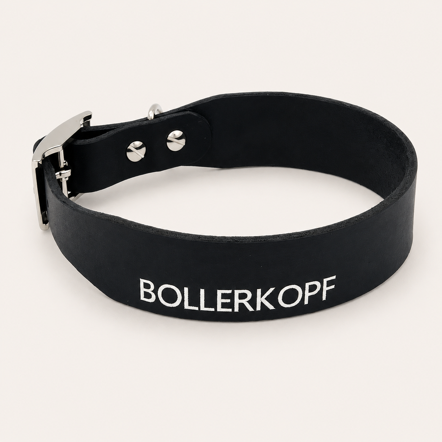 Leder Halsband für Hunde individuell konfigurieren