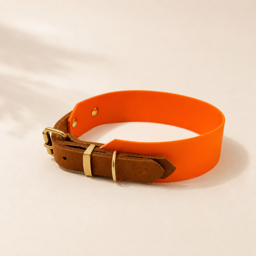Fertige Biothane Halsband Designs von Pfoten Chic