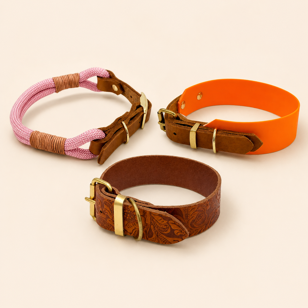 Fertige Hundehalsband Designs als Inspiration