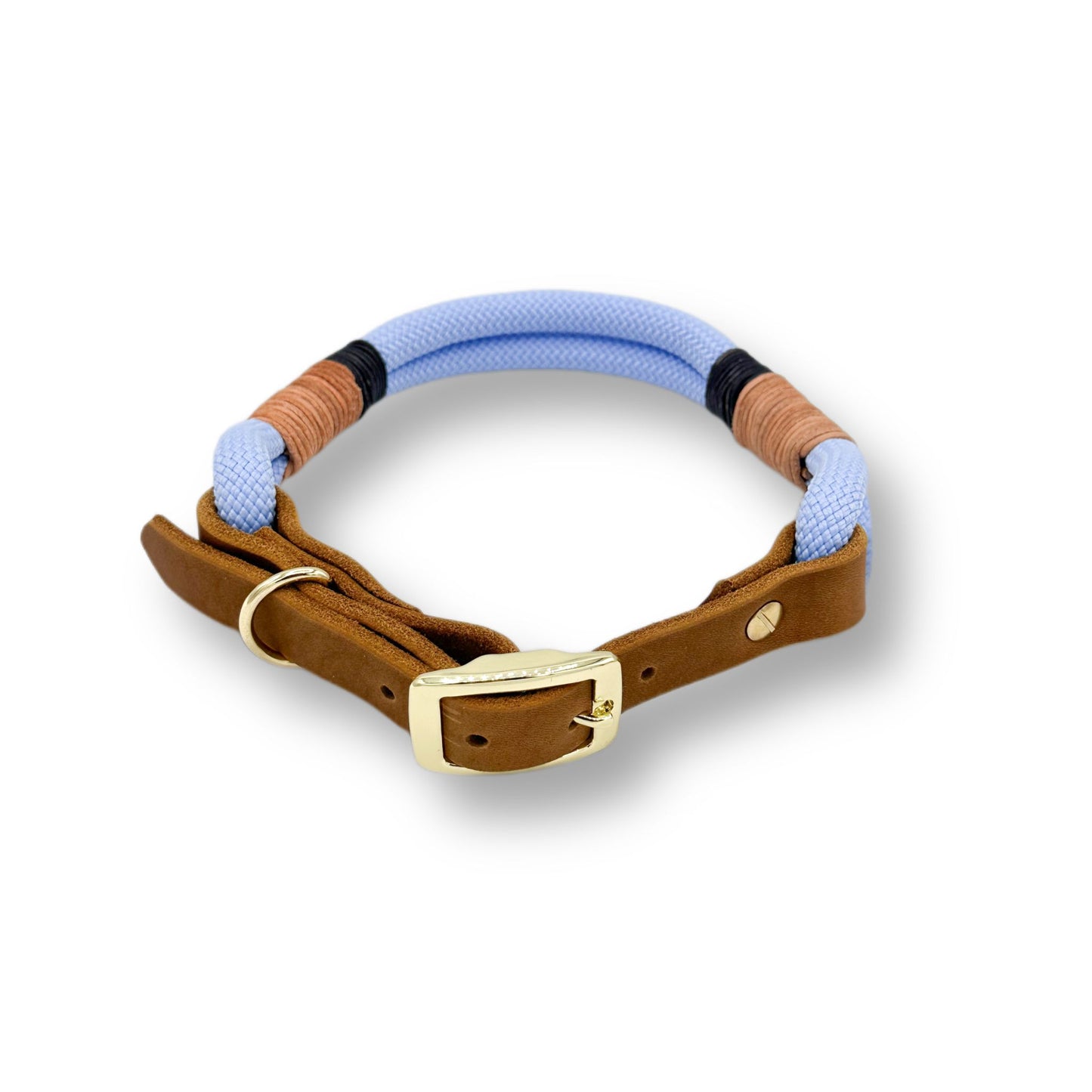 Personalisierbares Tauhalsband Polar
